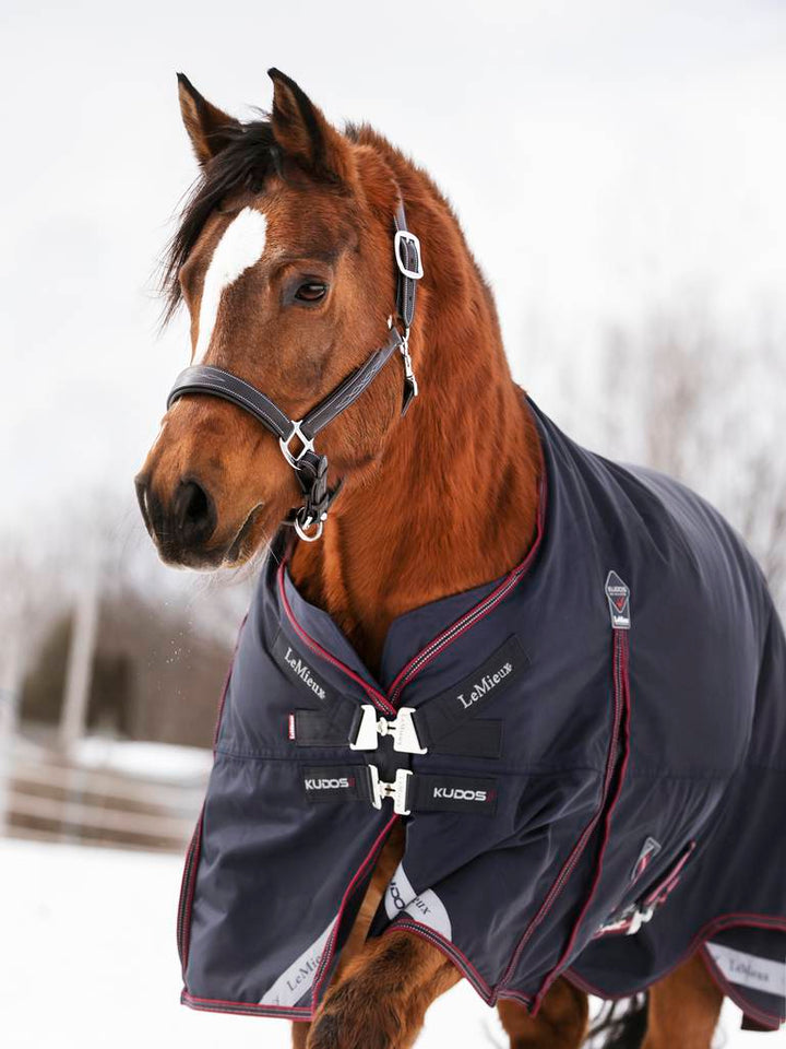 LeMieux Kudos Turnout 350g inkl aftagelig hals
