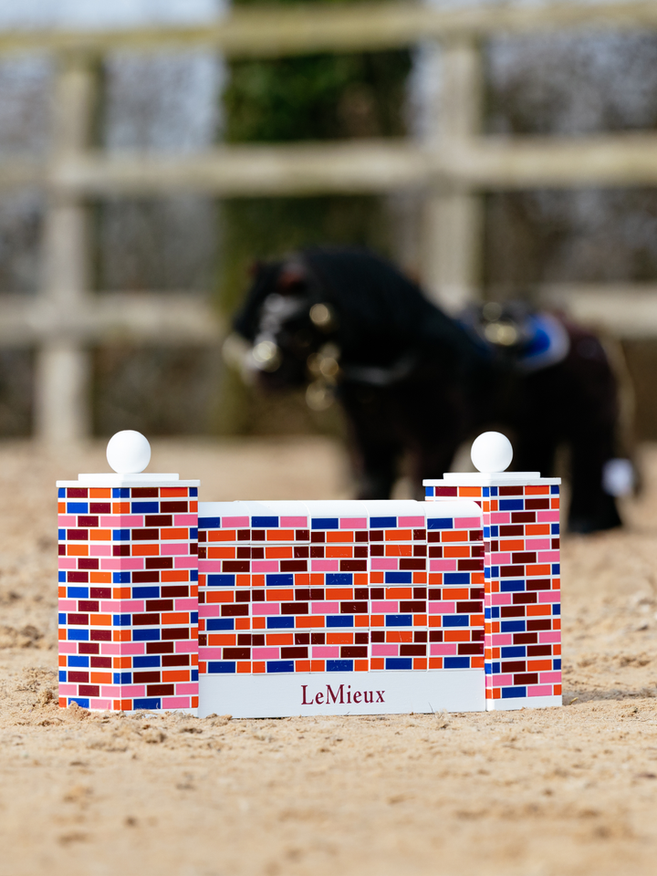 LeMieux Toy Pony Puissance spring mur
