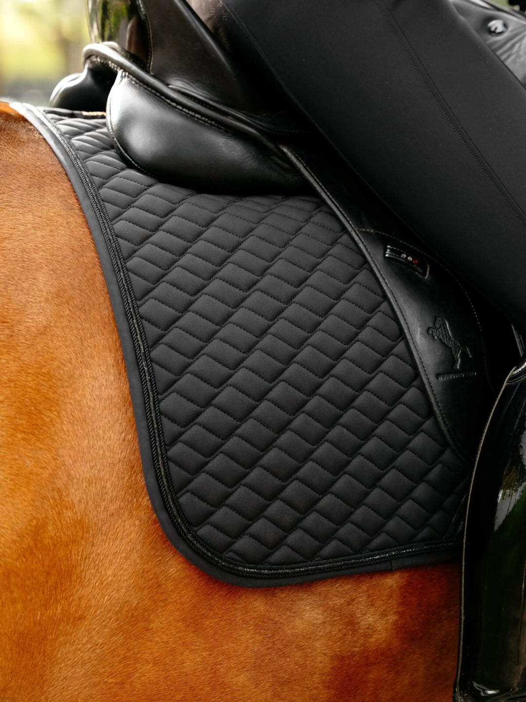 LeMieux Brilliance dressurunderlag