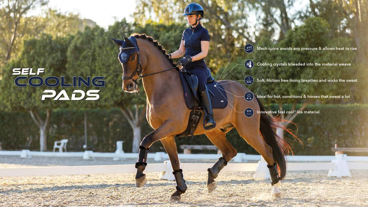 Lemieux Cooling Dressurunderlag