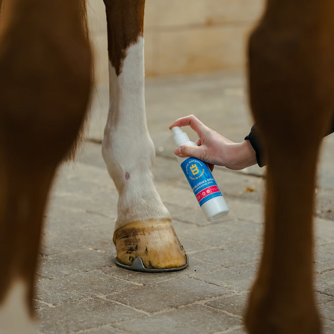 Eclipse Biofarm BioChlorHex spray