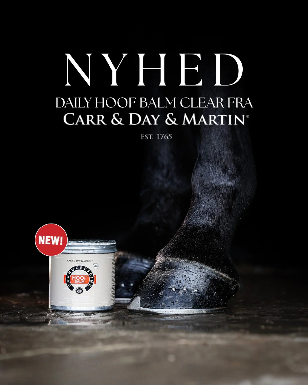 Carr & Day & Martin Clear Daily Hoof Balm