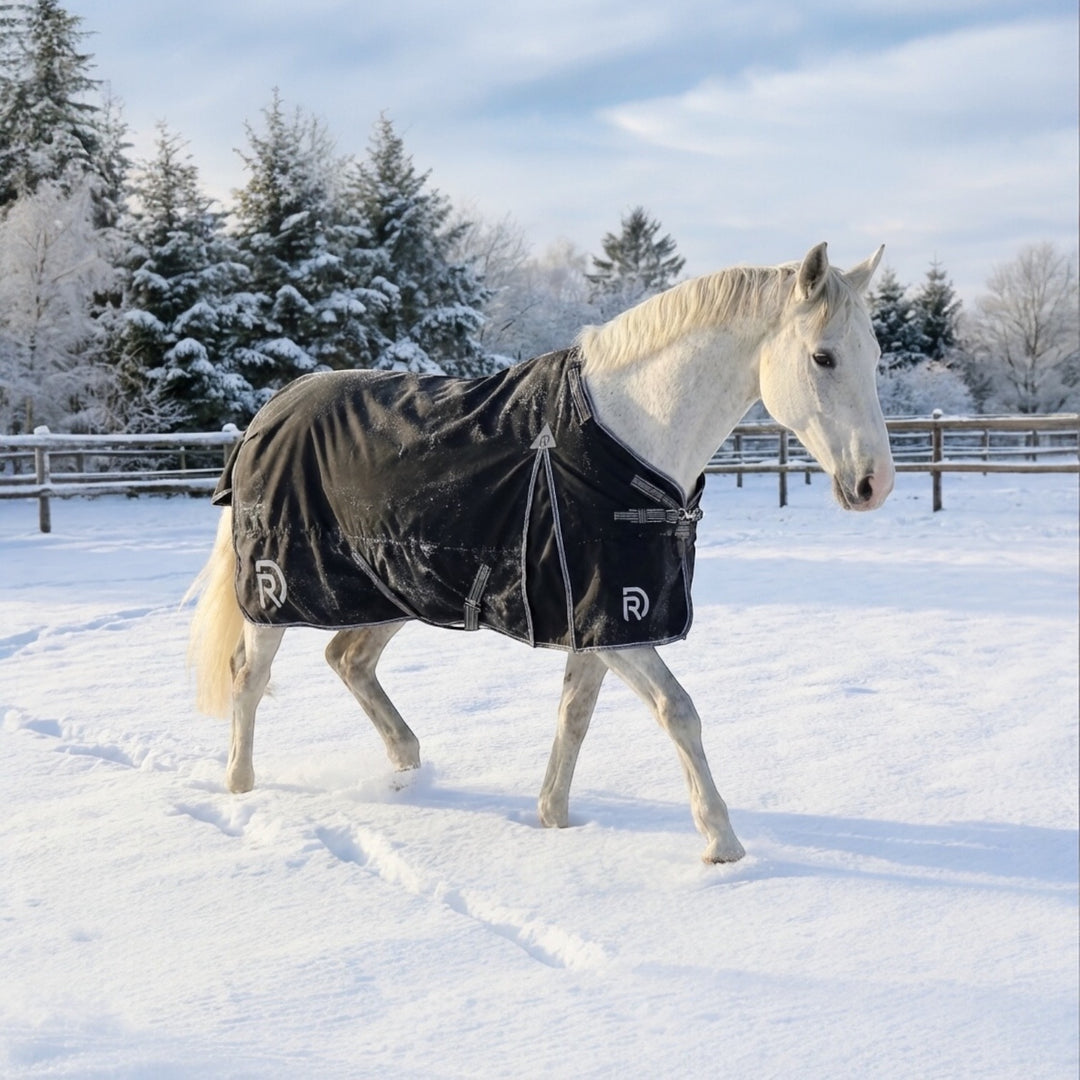 RD EquiComfort Pro Turnout dækken 200g
