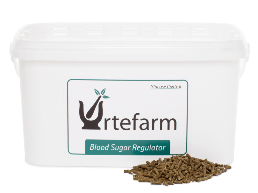 Urtefarm Blood Sugar Regulator