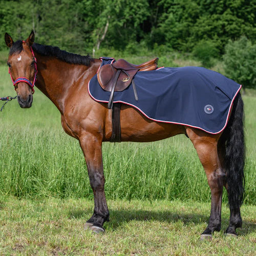 Tommy Hilfiger Springfield ridedækken