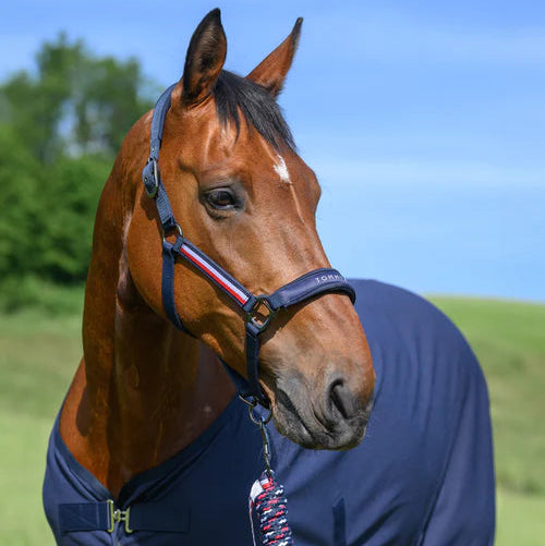 Tommy Hilfiger Yale grimesæt