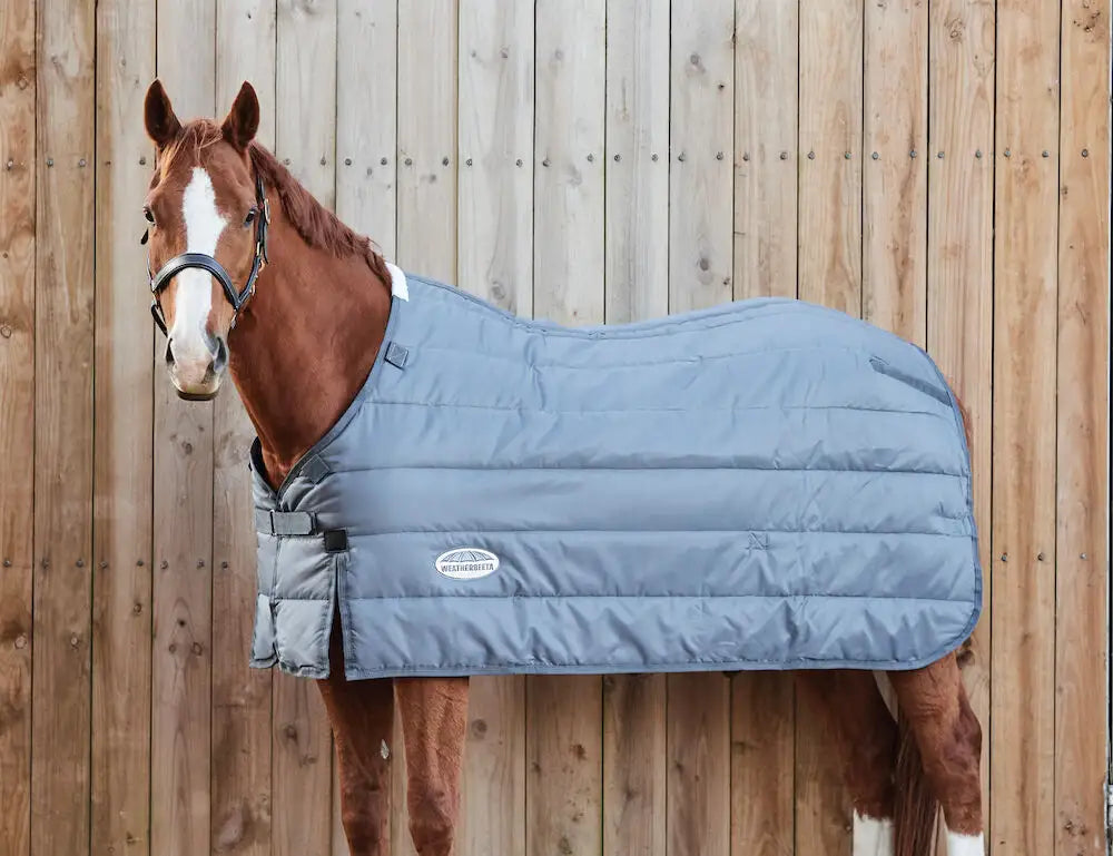 WeatherBeeta Thermi Heat liner