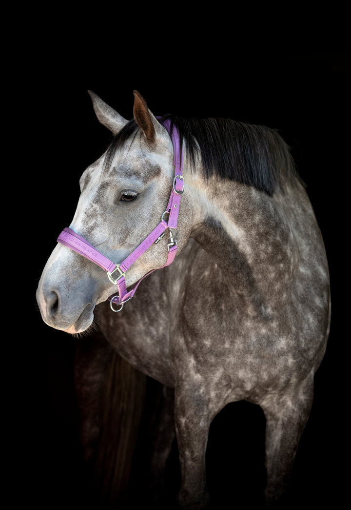 HorseGuard Diya 2.0 grime