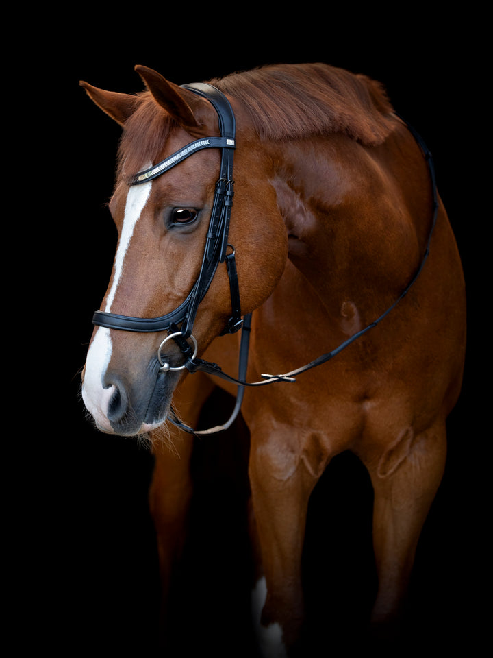 HorseGuard Tine anatomic trense