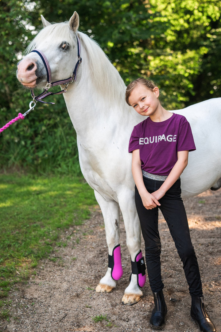 HorseGuard Timian Springgamache