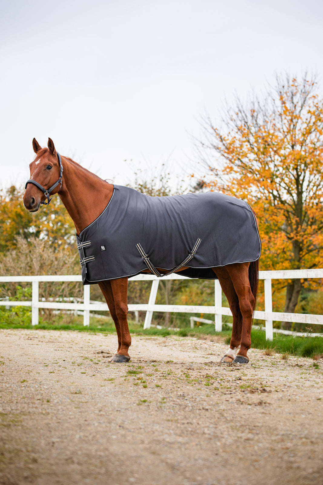 HorseGuard SS22 Jersey cooler