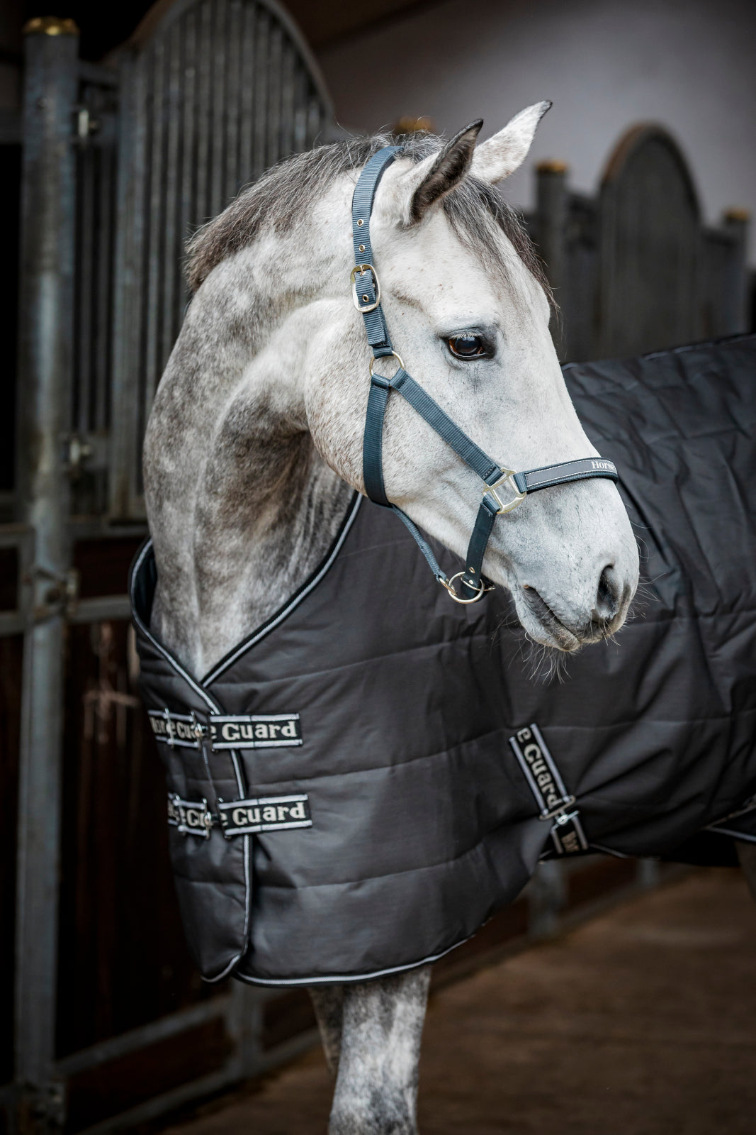 HorseGuard Sophie stalddækken, 300 g
