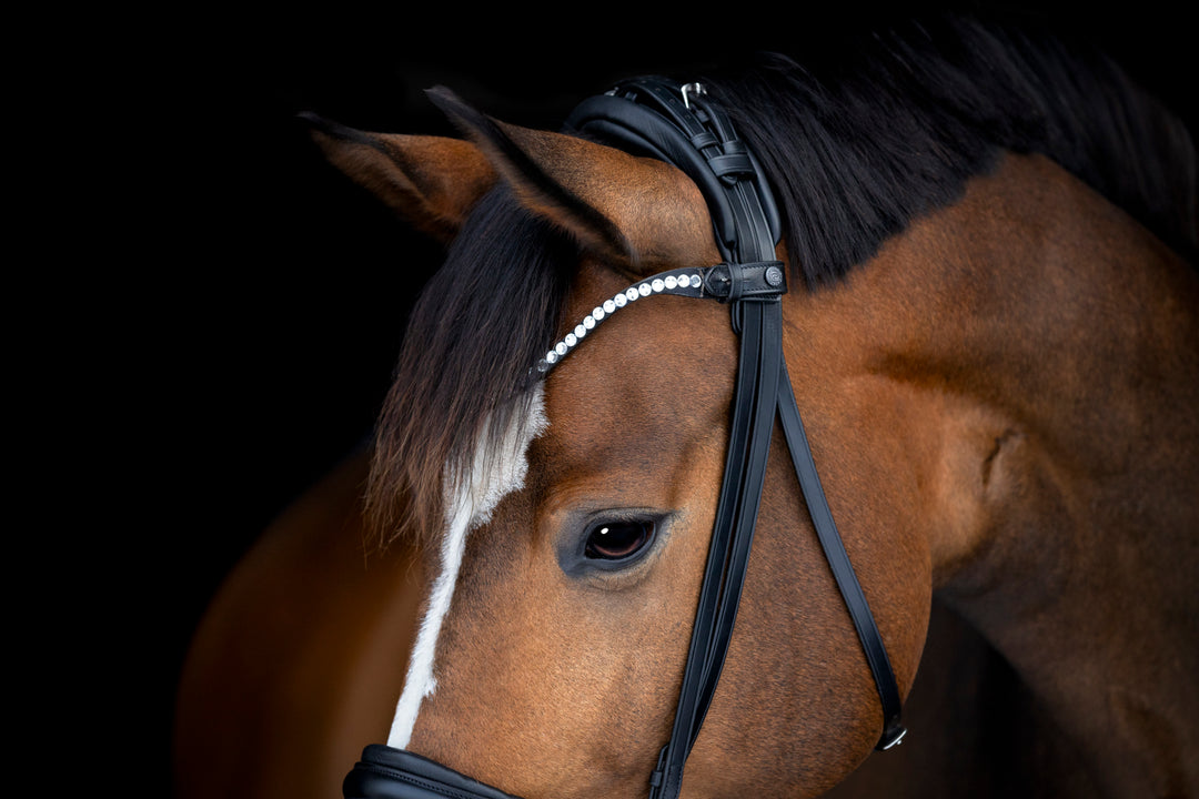 Catago Arlington trense