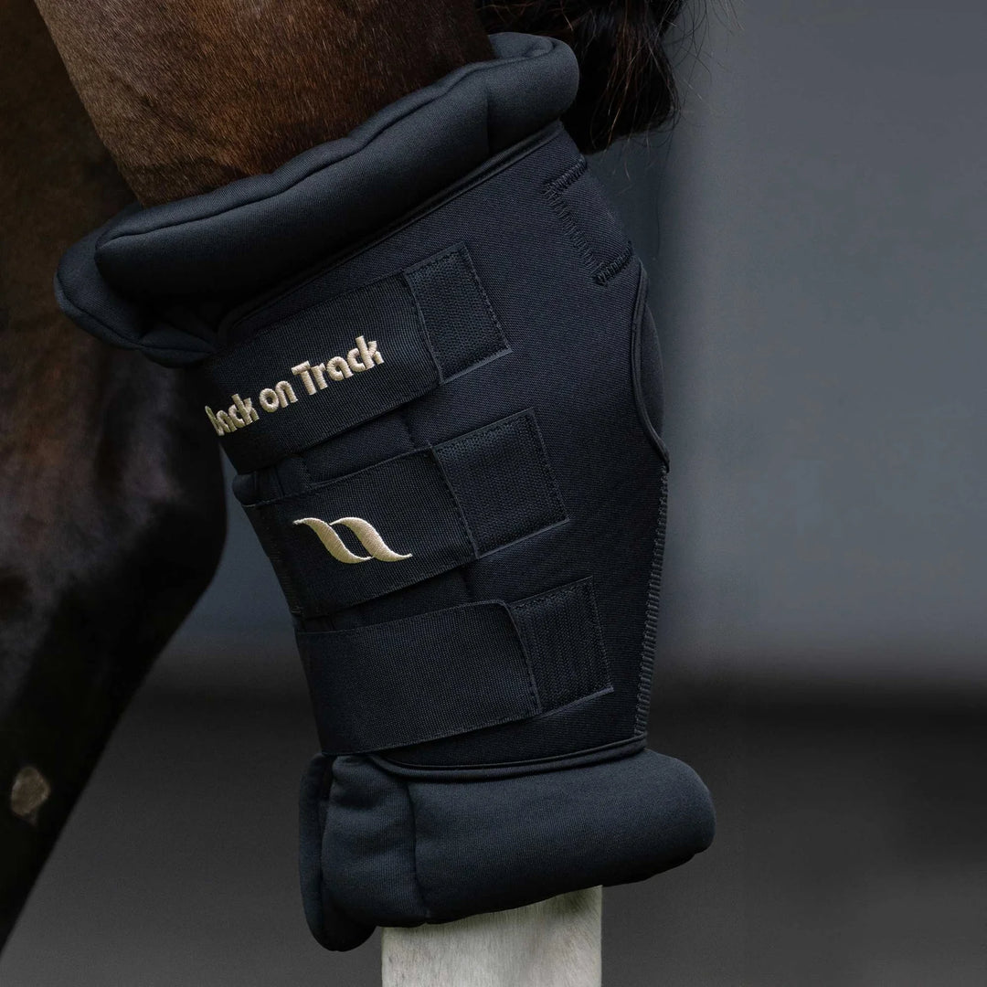 Back On Track Royal Deluxe hasebandage