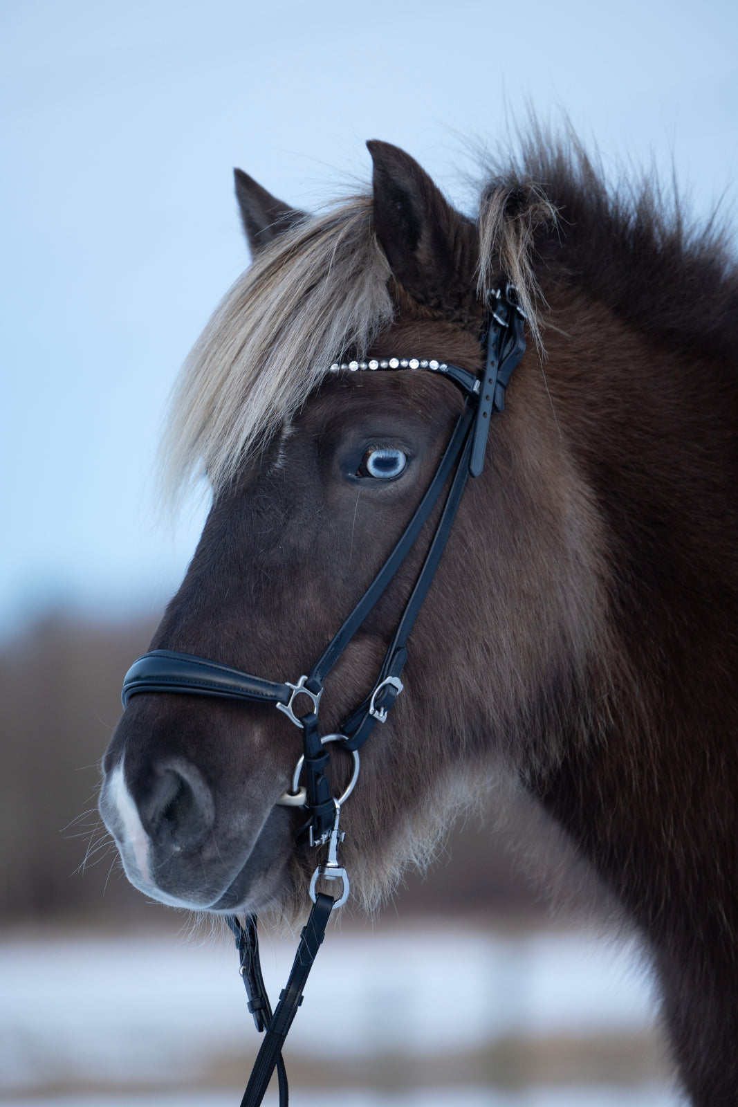 HorseGuard Norfolk islænder trense