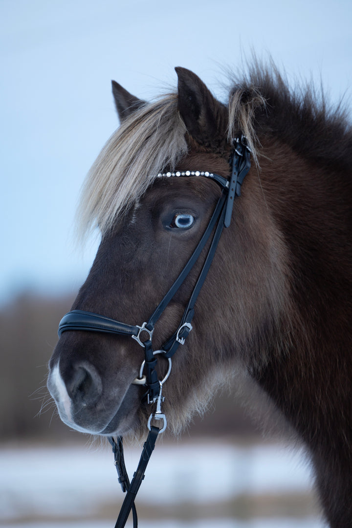 HorseGuard Norfolk islænder trense