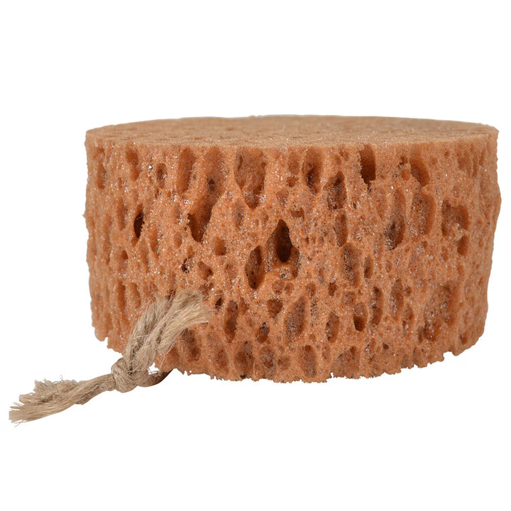 Borstiq Farm Rund groomingsvamp