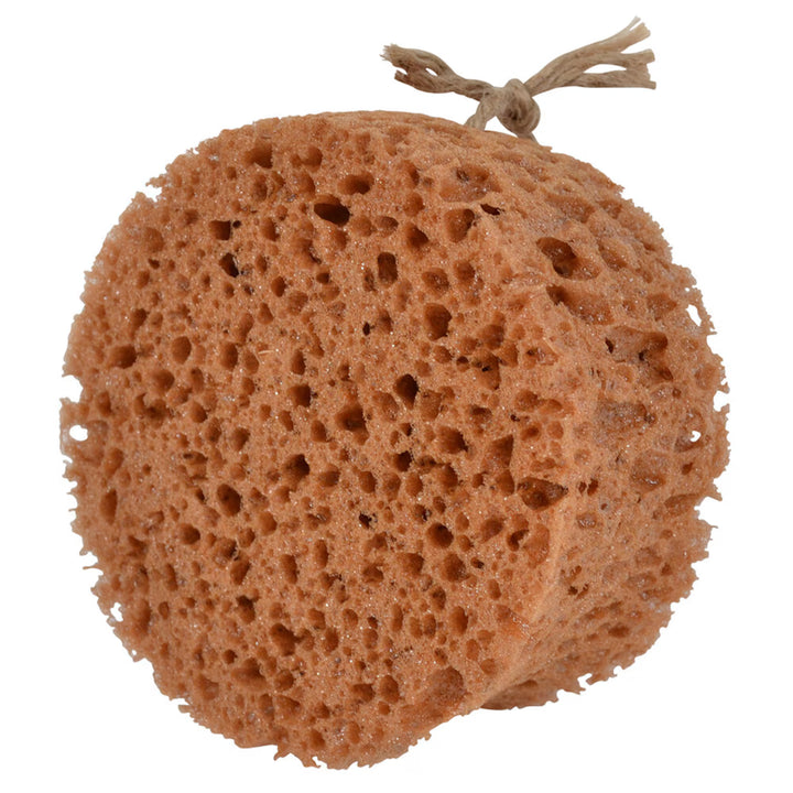 Borstiq Farm Rund groomingsvamp