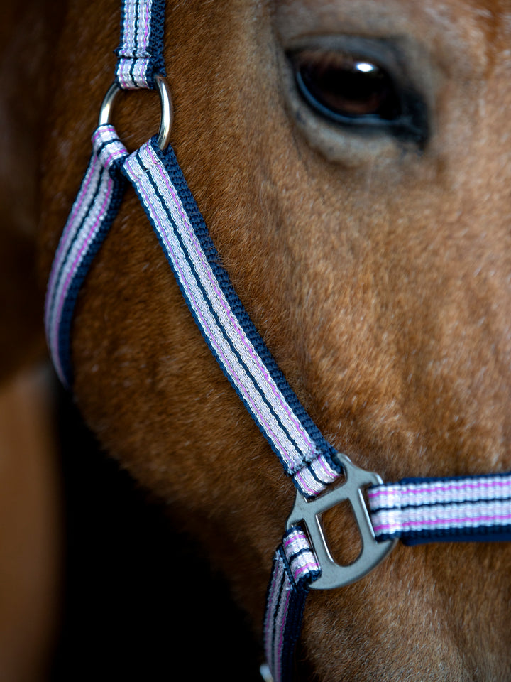 HorseGuard Mascha grime