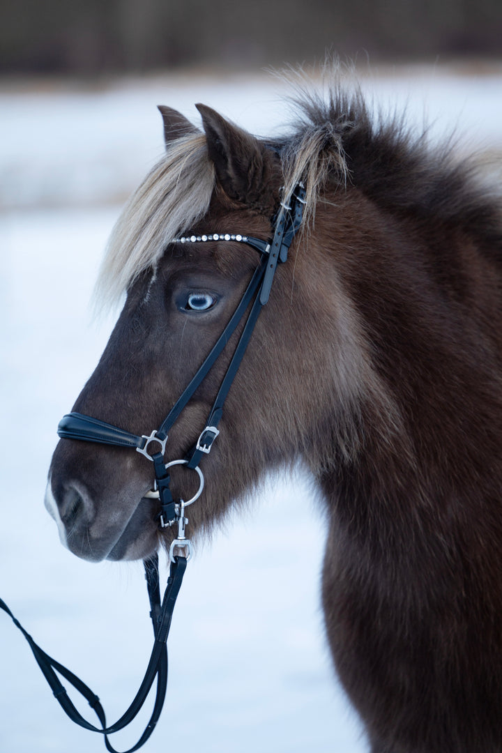 HorseGuard Norfolk islænder trense