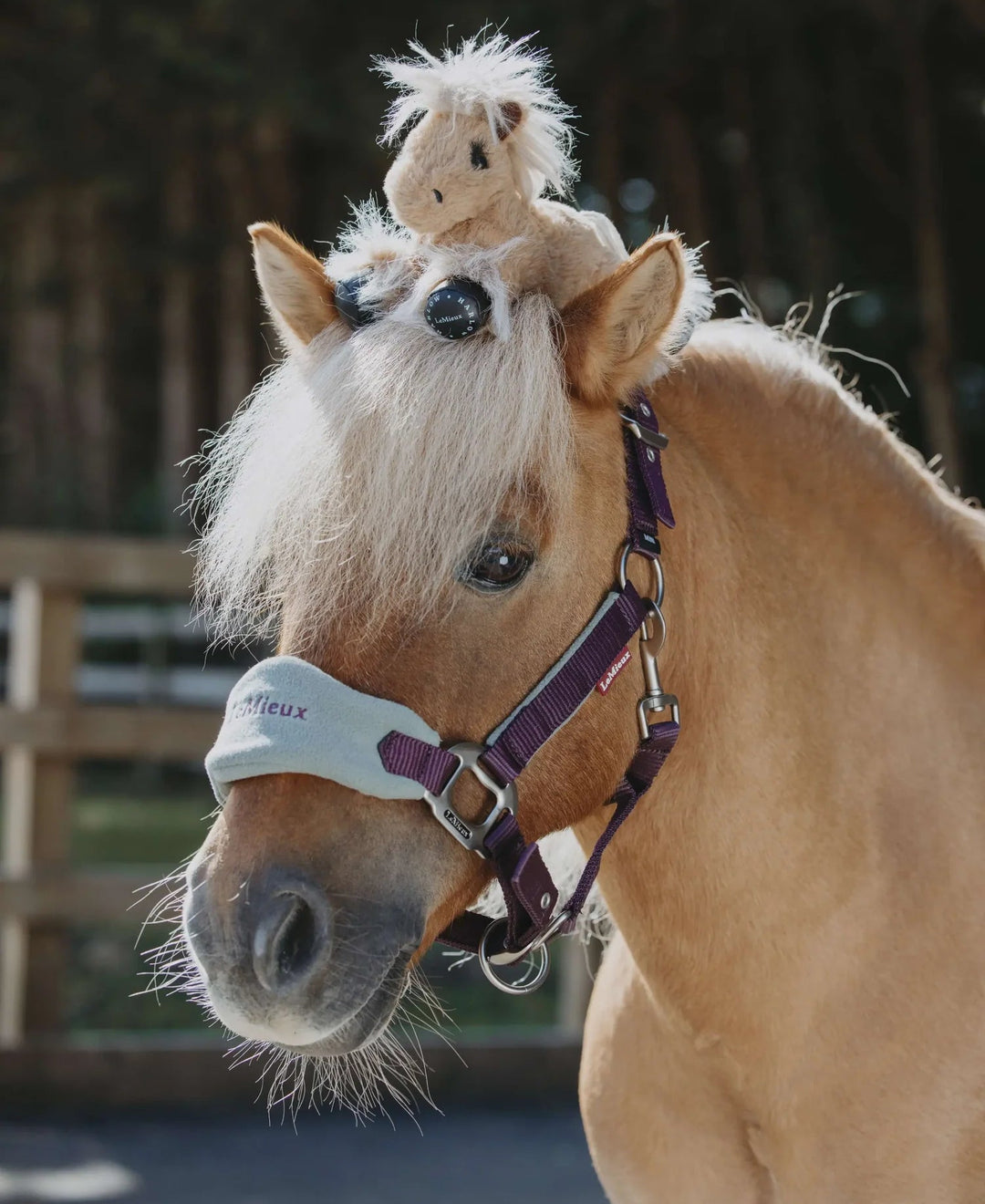 LeMieux Tiny Beanie pony