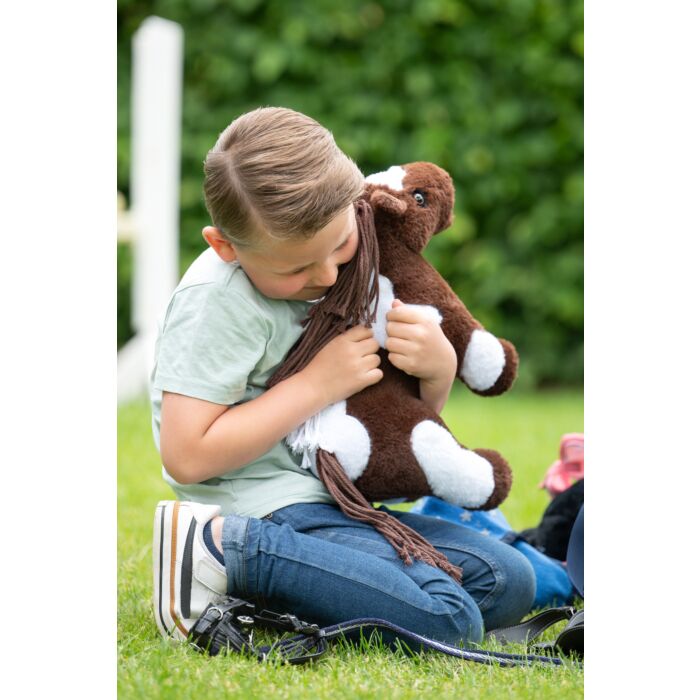 HKM Pinto Cuddle Pony