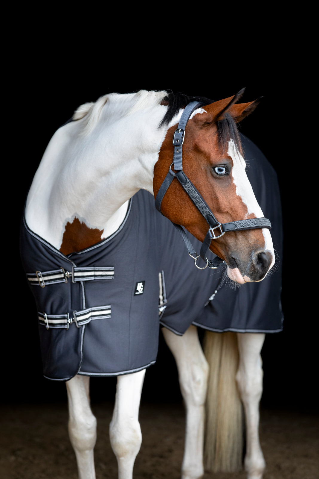 HorseGuard SS22 Jersey cooler