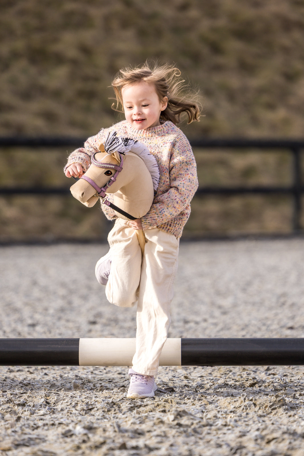 My Hobby Horse Fjord