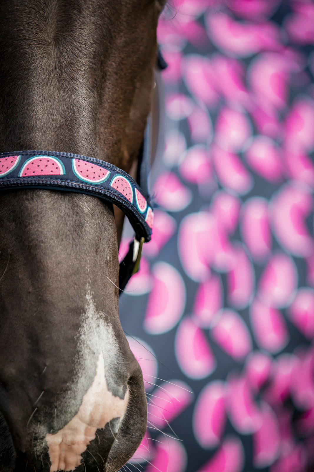 HorseGuard Melon grime