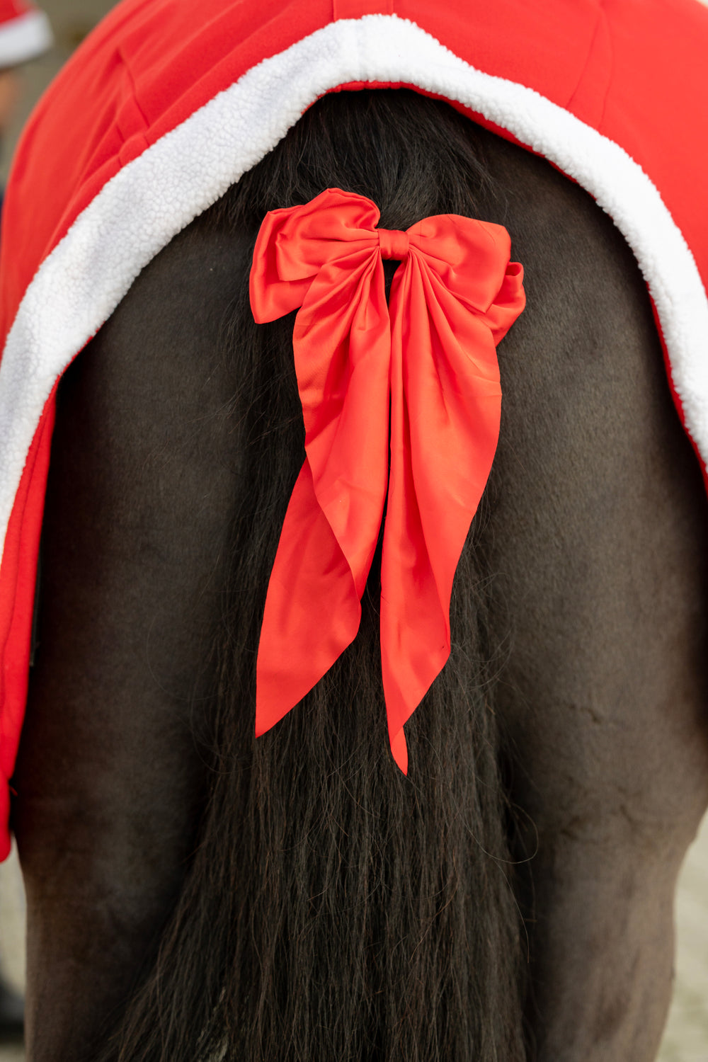 HorseGuard julesløjfe