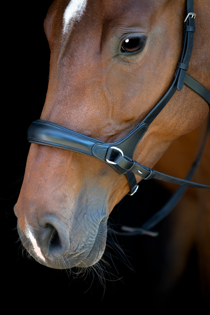 HorseGuard Bidløs trense