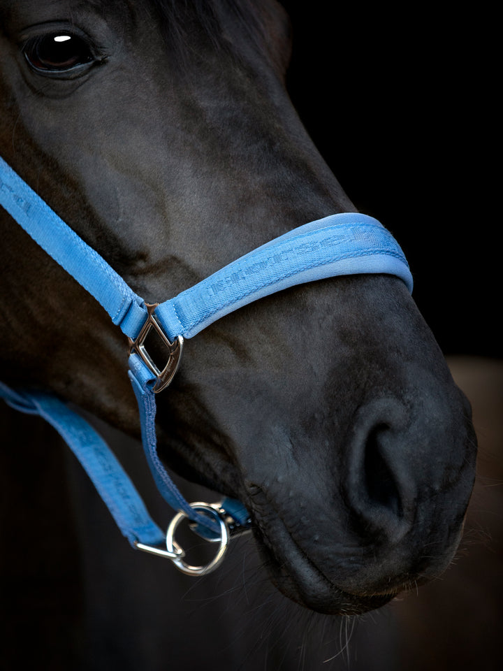 HorseGuard Diya 2.0 grime