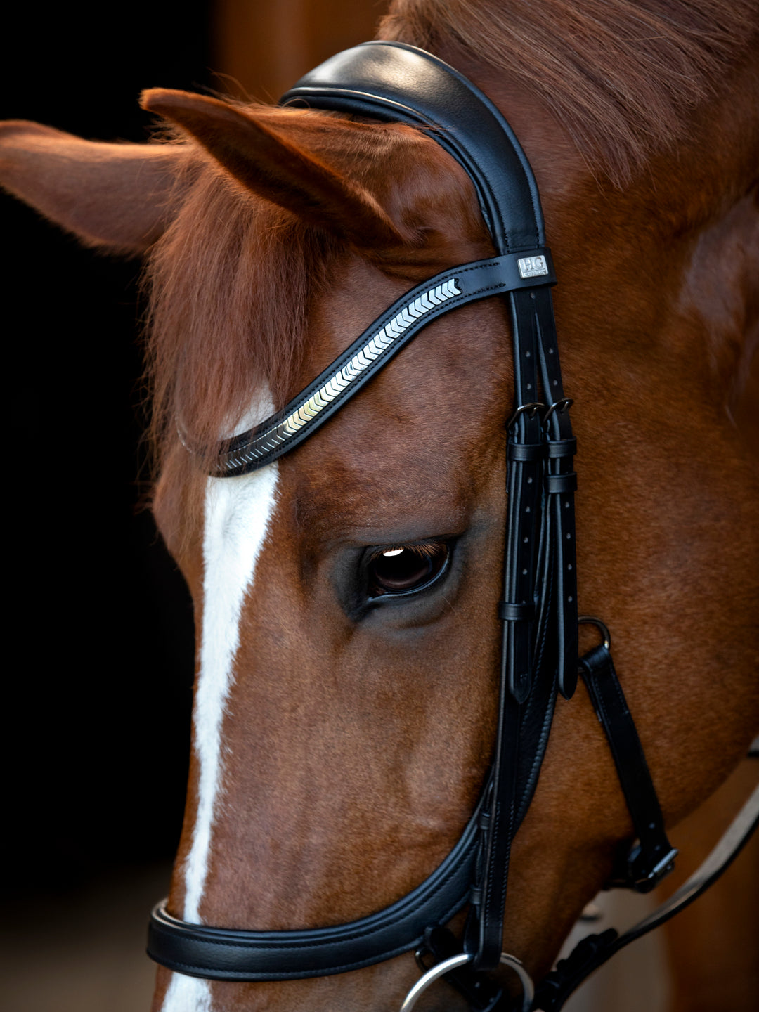 HorseGuard Tine anatomic trense