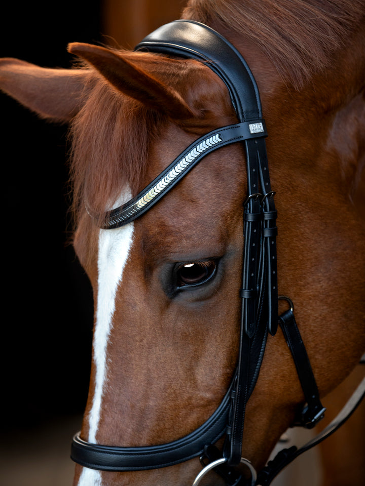 HorseGuard Tine anatomic trense