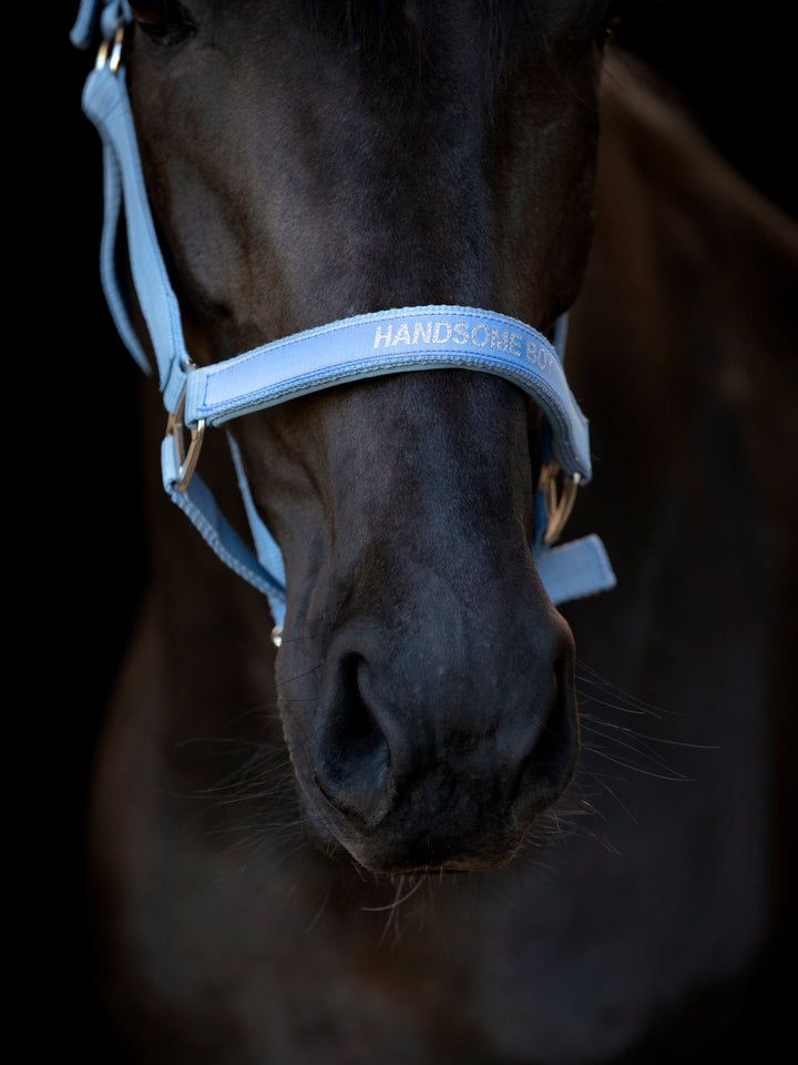 HorseGuard Malva grime med tekst