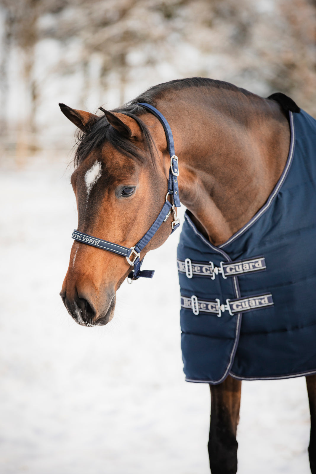 HorseGuard Sophie stalddækken, 100 g