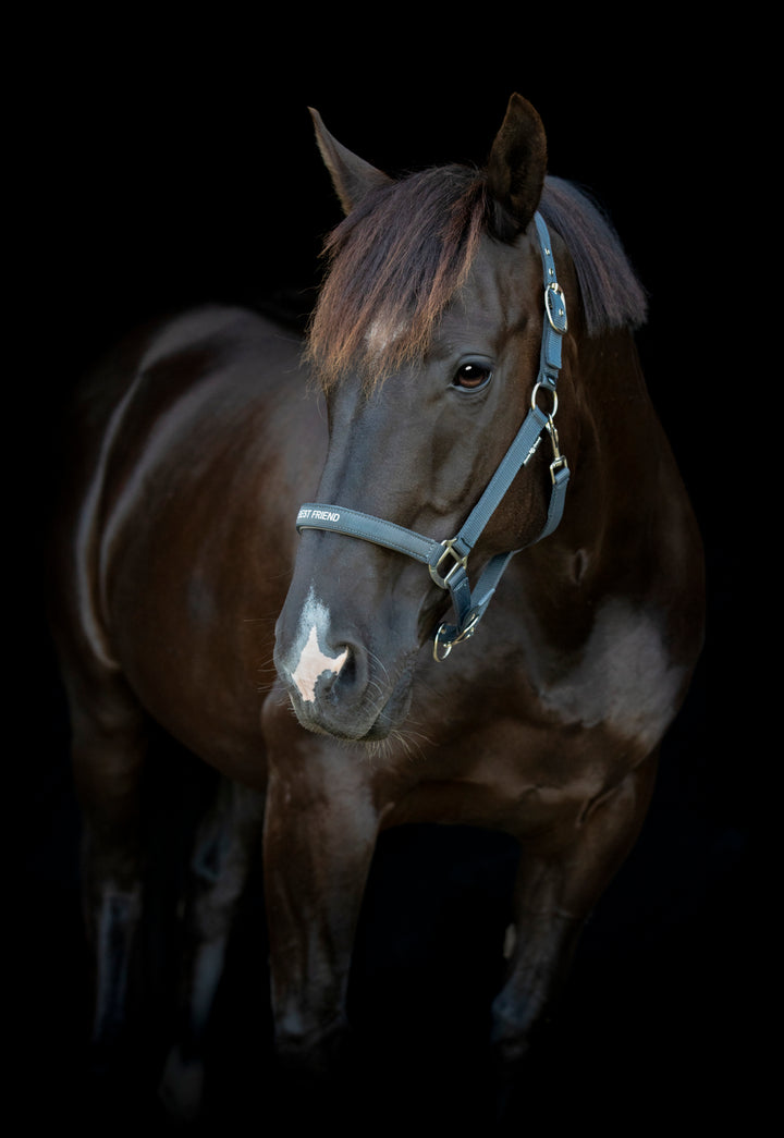 HorseGuard Malva grime med tekst