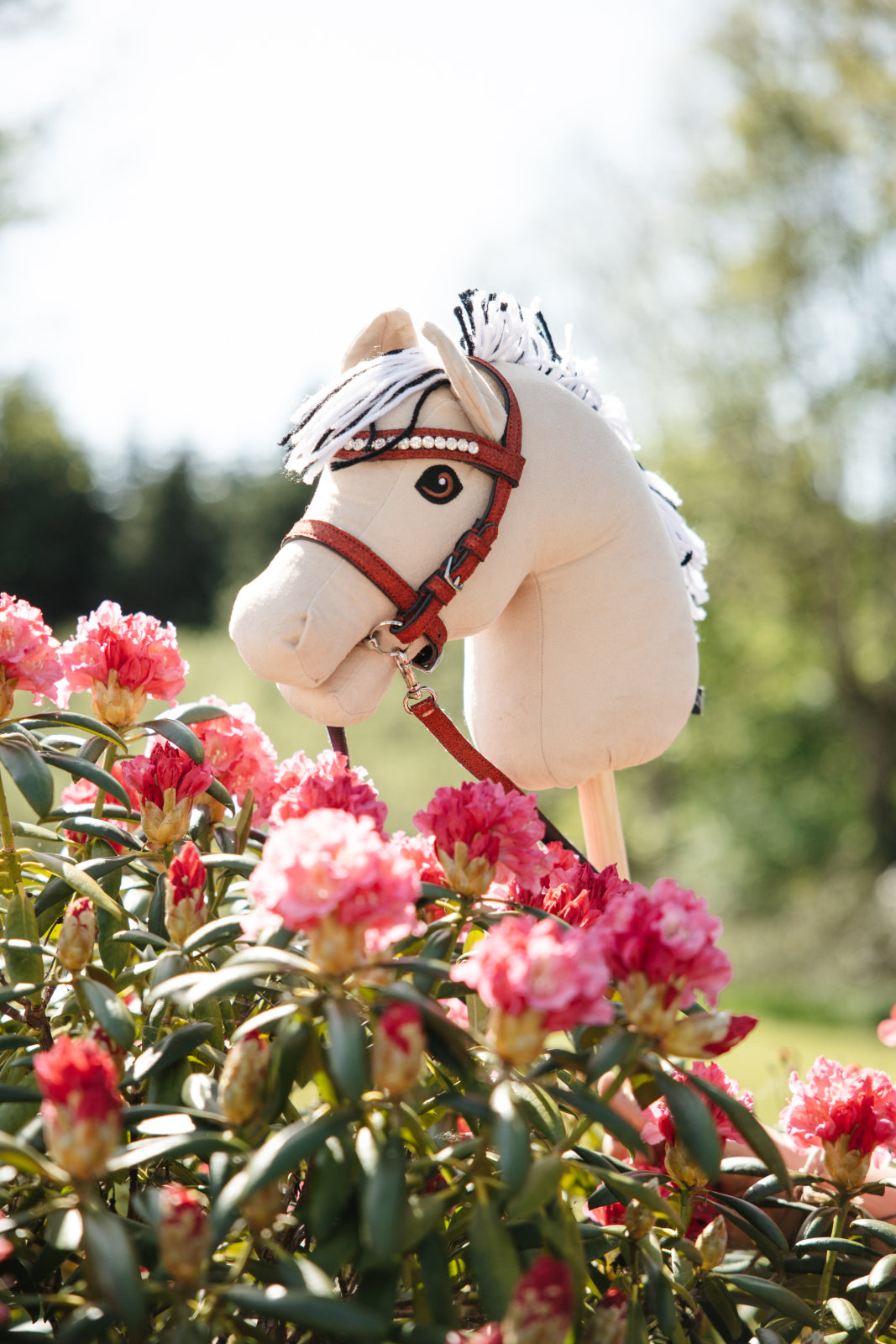 My Hobby Horse Glitter trense