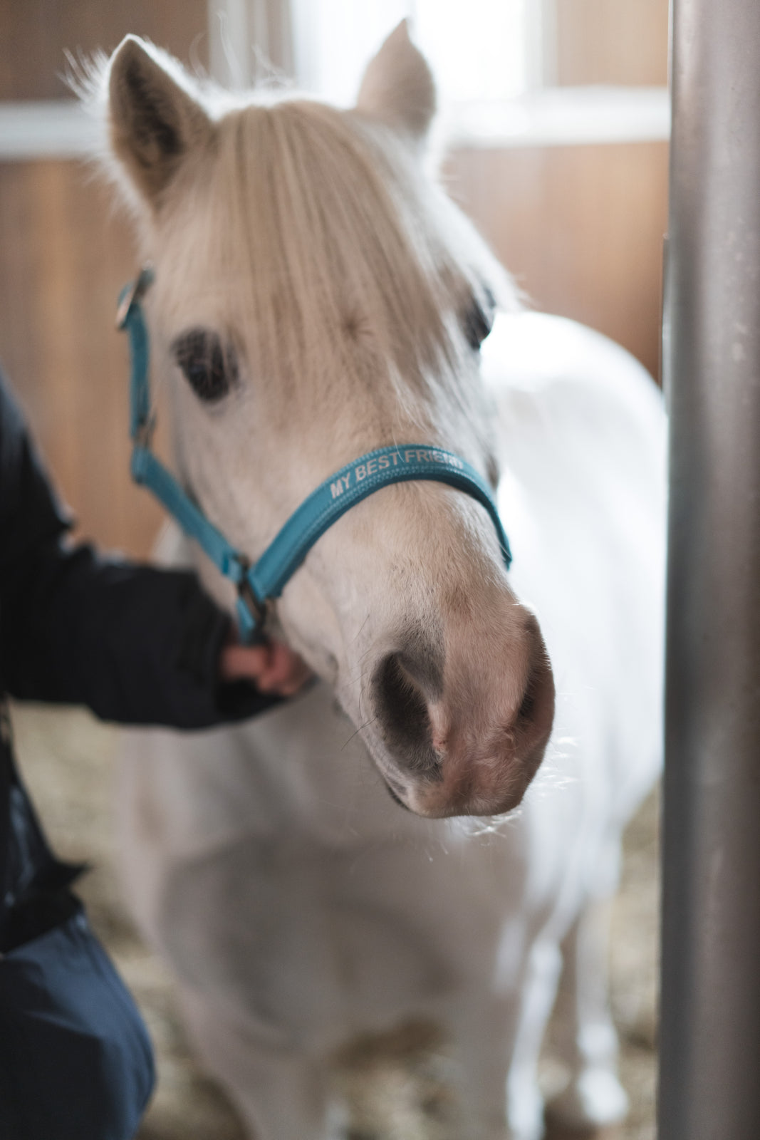 HorseGuard Malva grime med tekst