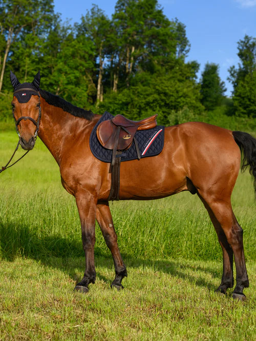 Tommy Hilfiger Stanford springunderlag