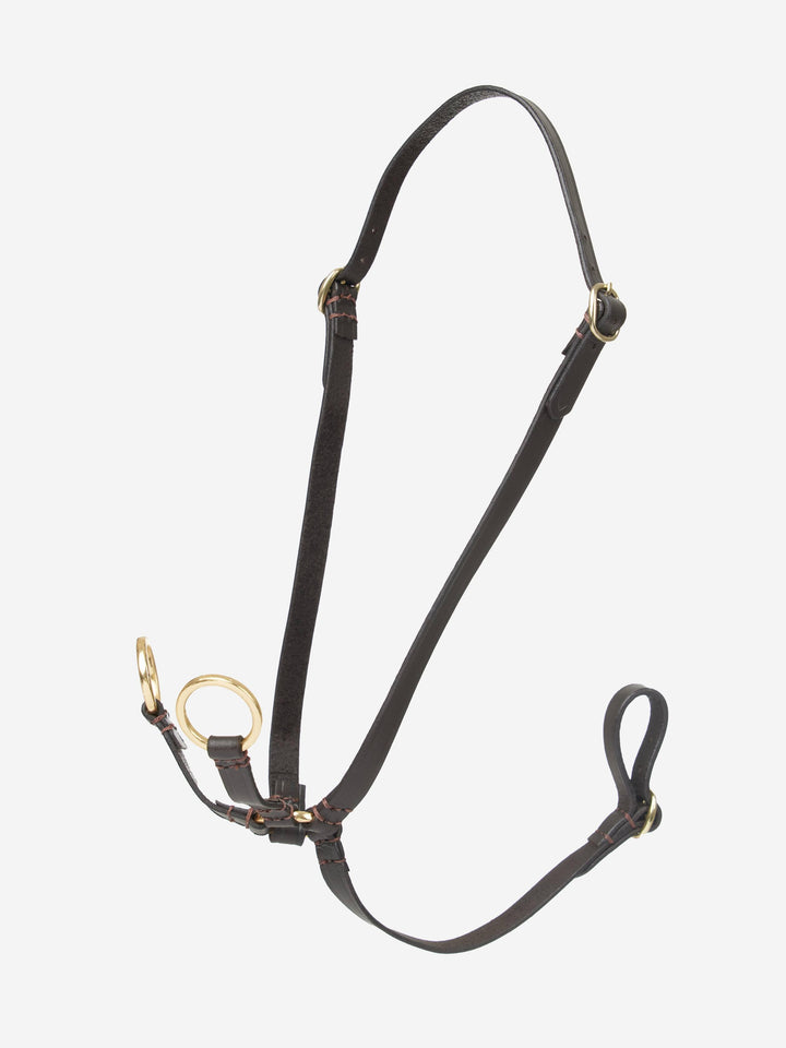 LeMieux Hobby Horse martingal