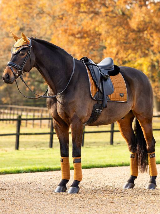 LeMieux Loire Classic Square dressurunderlag