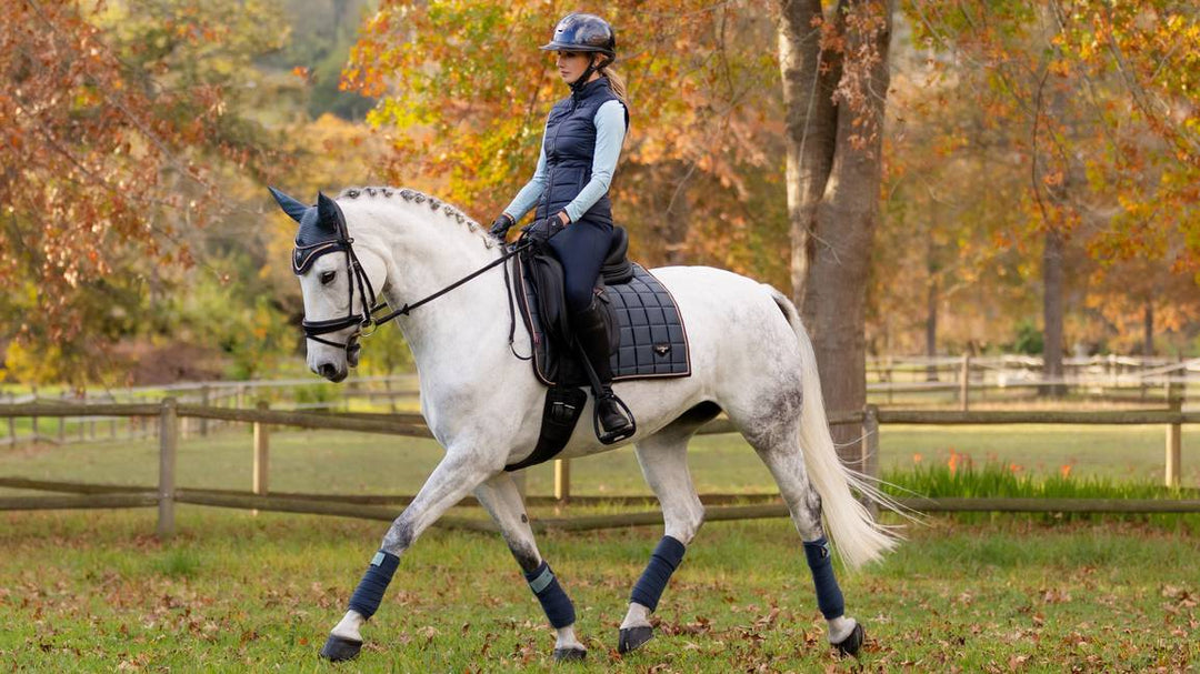 LeMieux Loire Classic Square dressurunderlag