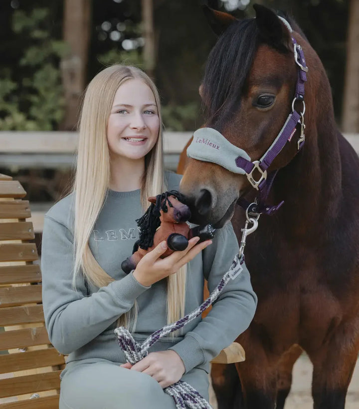 LeMieux Tiny Beanie pony