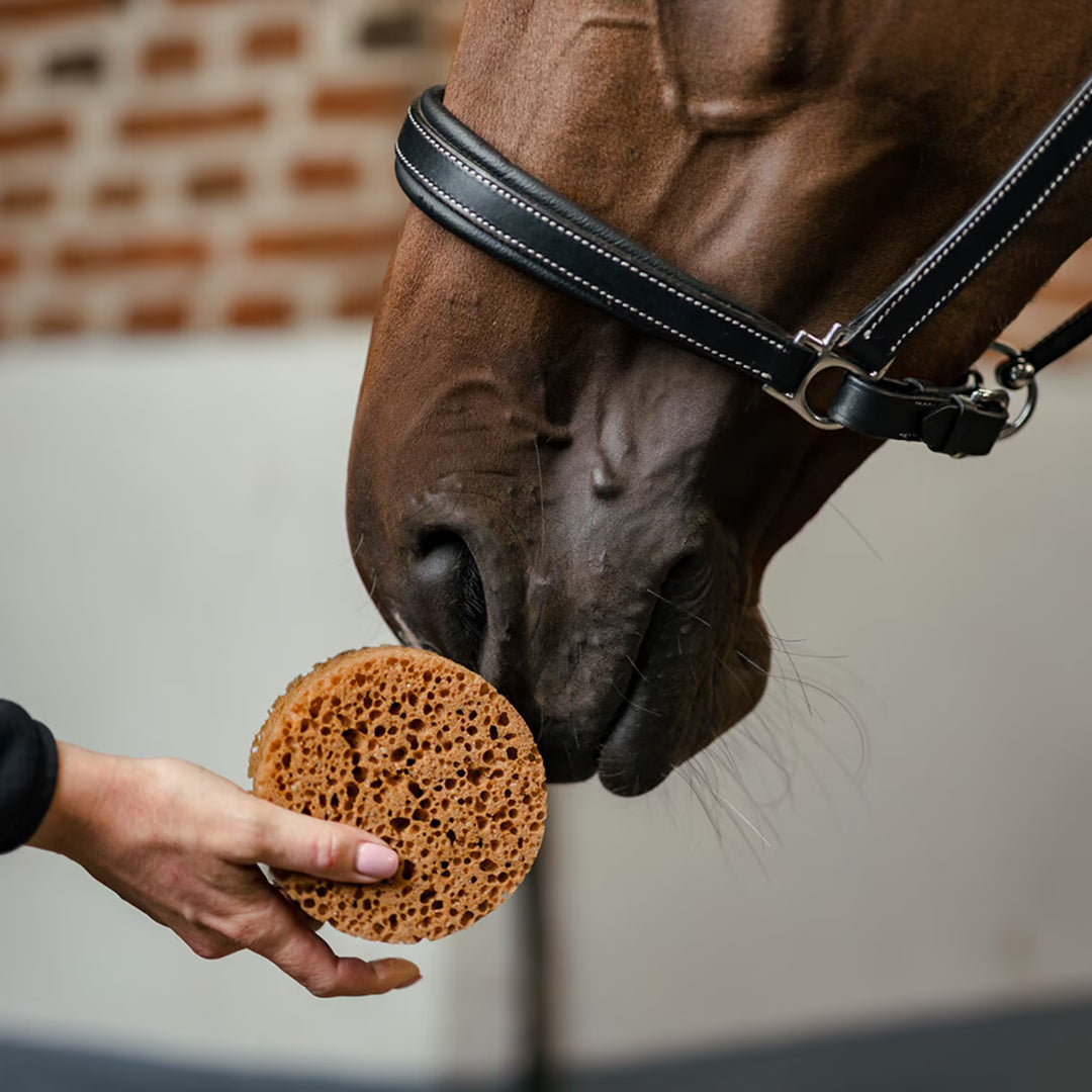 Borstiq Farm Rund groomingsvamp