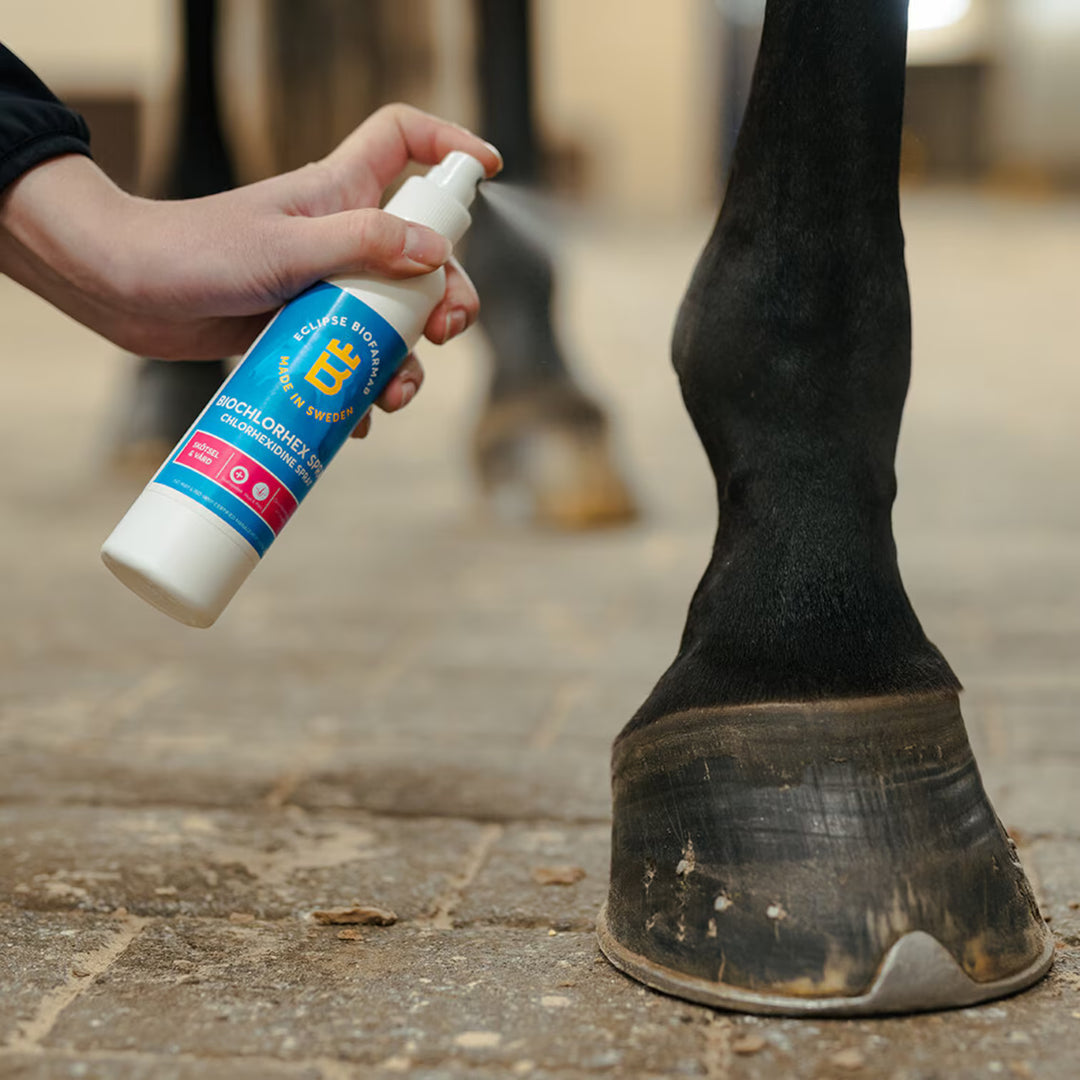 Eclipse Biofarm BioChlorHex spray
