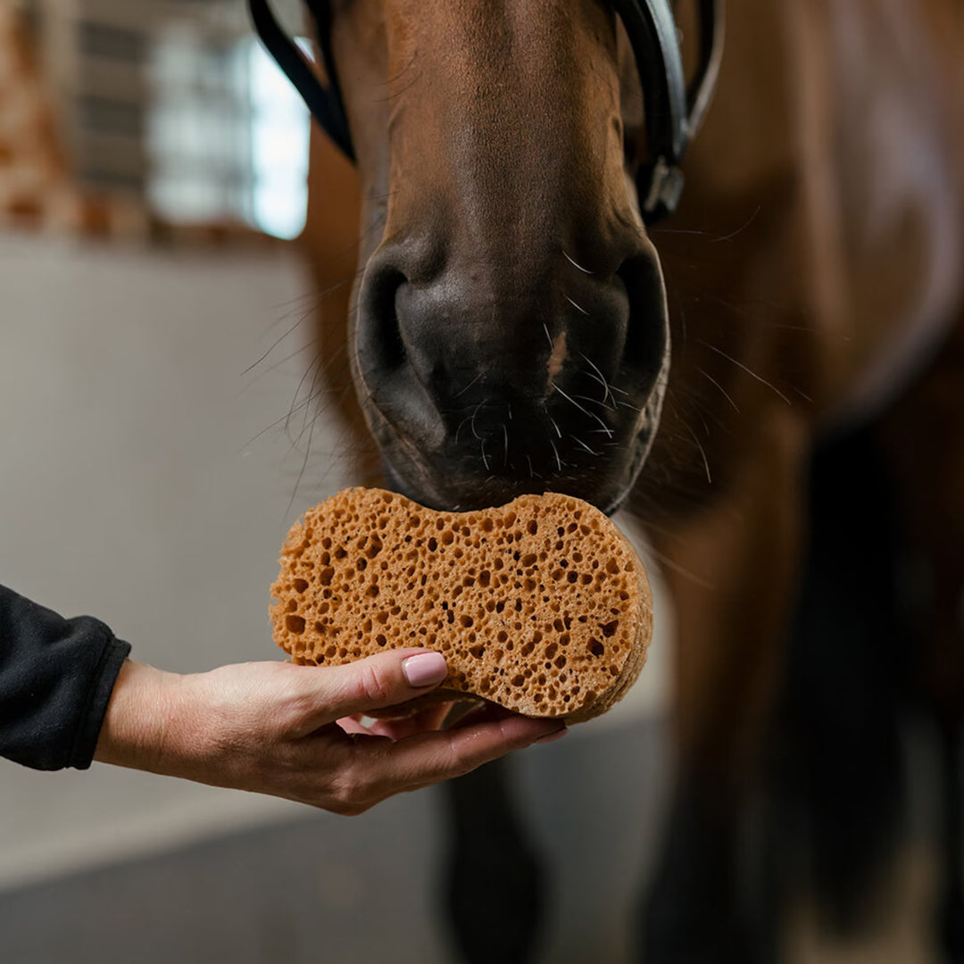 Borstiq Farm vaskesvamp
