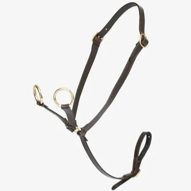 LeMieux Toy Pony martingal