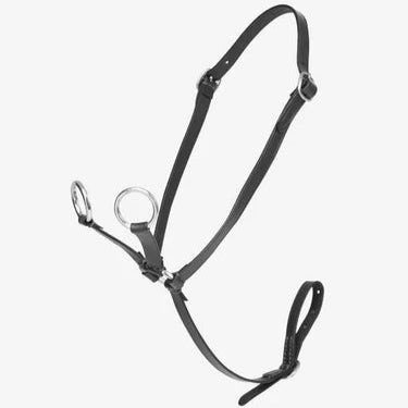 LeMieux Toy Pony martingal