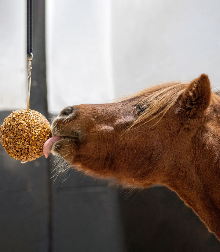 Likit Granola Stall-Ball